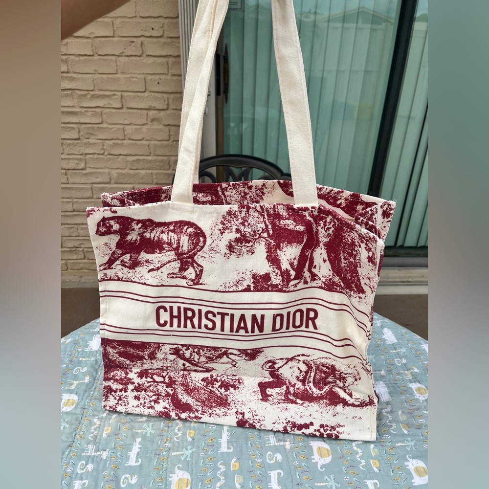 Christian Dior Novelty Tote Bag (PRICE FIRM)